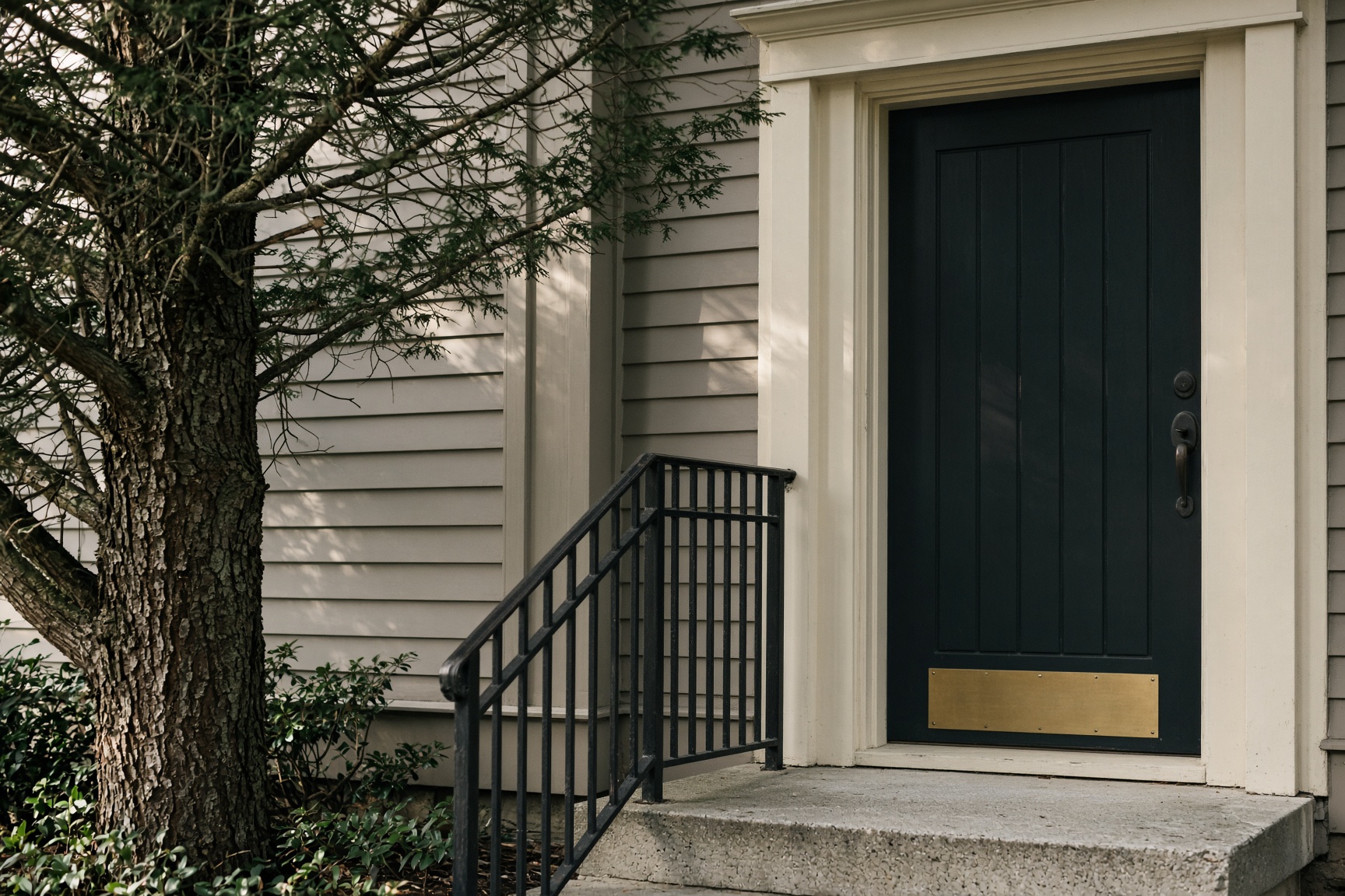 A dark green entry door beside a tree.